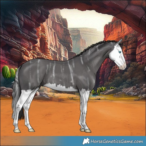 Horse Color:Smoky Black Ice Splash 