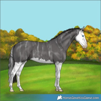 Horse Color:Smoky Black Ice Splash