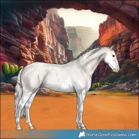 Horse Color:Silver Smoky Grullo Roan Splash 