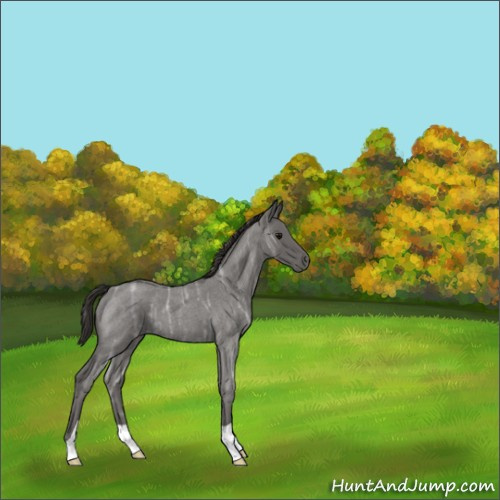 Horse Color:Smoky Blue Ice Roan 