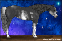 Horse Color:White Spotted Black Splash Tobiano Frame Appaloosa