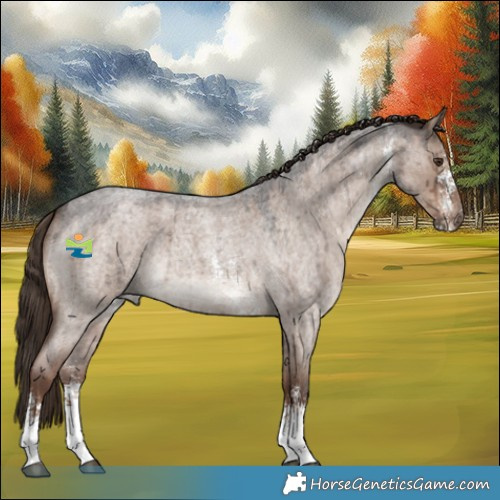 Horse Color:Liver Red Dun Roan Sabino Brindle 