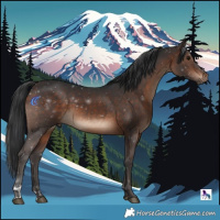 Horse Color:Brown 