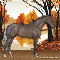 Horse Color:Silver Black