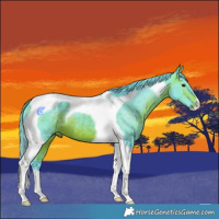 Horse Color:Watercolor Brown Tobiano 