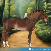 Horse Color:Liver Chestnut 