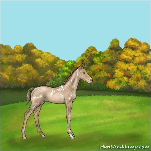 Horse Color:White Spotted Smoky Black Pearl 