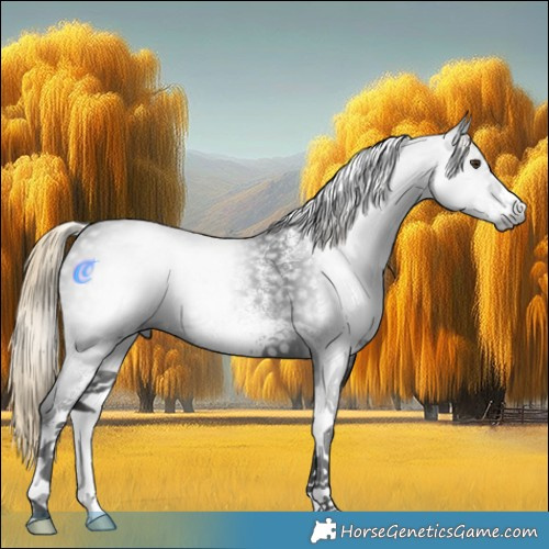 Horse Color:Gray White Spotted Liver Chestnut 