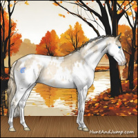 Horse Color:White Spotted Buckskin Roan Pearl Splash Varnish Rabicano 