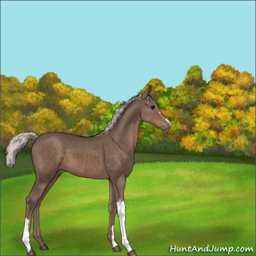 Horse Color:Silver Black 