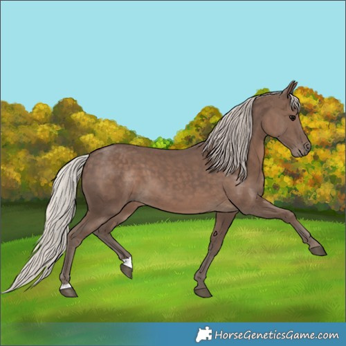 Horse Color:Silver Black 