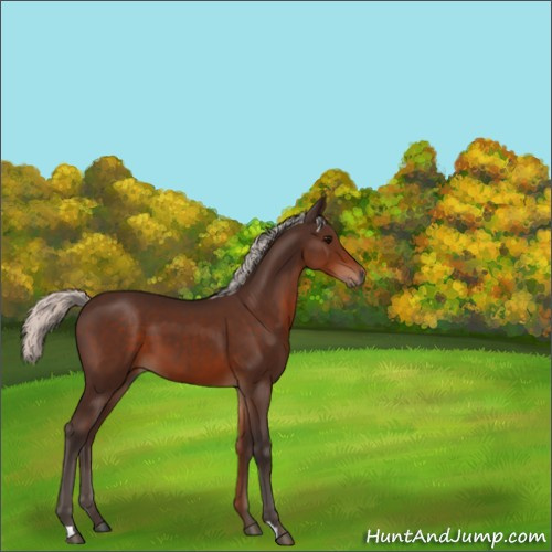 Horse Color:Silver Brown 