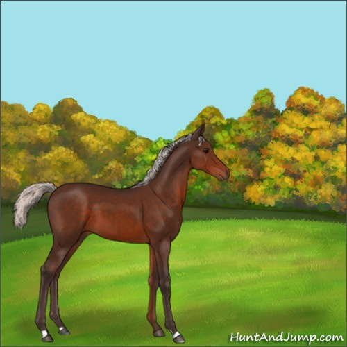 Horse Color:Silver Brown 