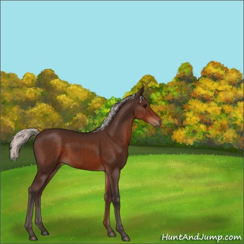 Horse Color:Silver Brown 