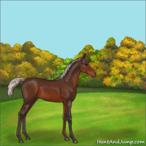 Horse Color:Silver Brown 