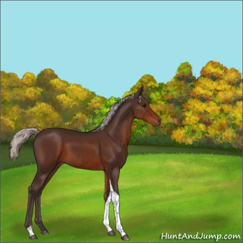 Horse Color:Silver Brown Tobiano Rabicano 