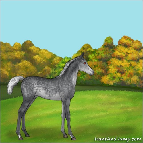 Horse Color:Silver Black Chinchilla 