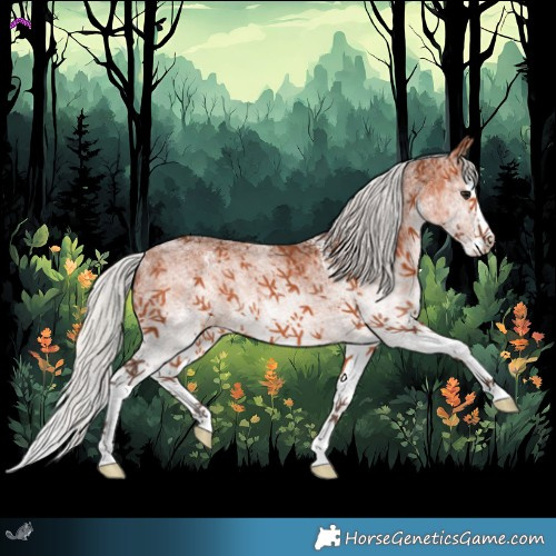 Horse Color:White Spotted Silver Brown Splash Rabicano 
