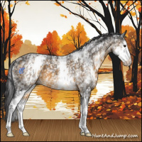 Horse Color:White Spotted Buckskin 