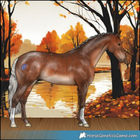 Horse Color:Silver Brown 