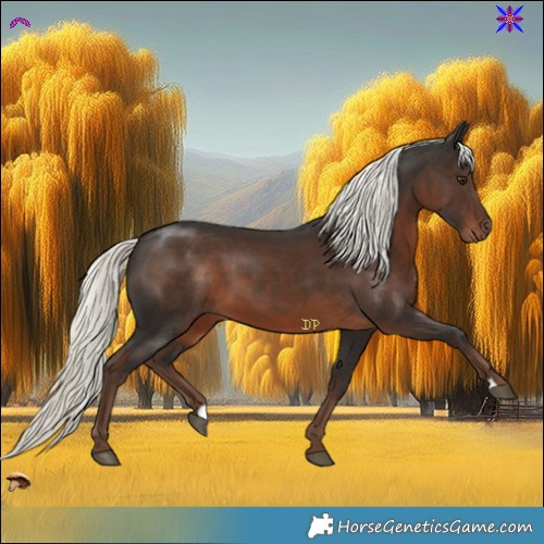 Horse Color:Liver Chestnut Mushroom 