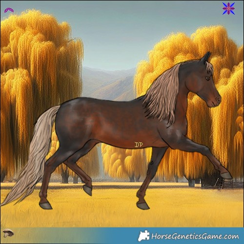 Horse Color:Liver Chestnut Rabicano 