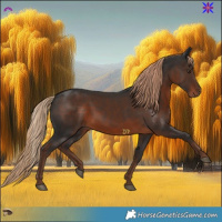 Horse Color:Liver Chestnut Rabicano 