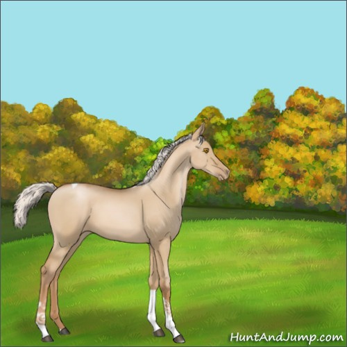 Horse Color:Silver Grullo Pearl Tobiano 