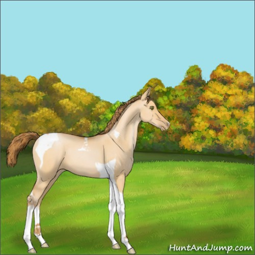 Horse Color:Bay Pearl Dun Tobiano 