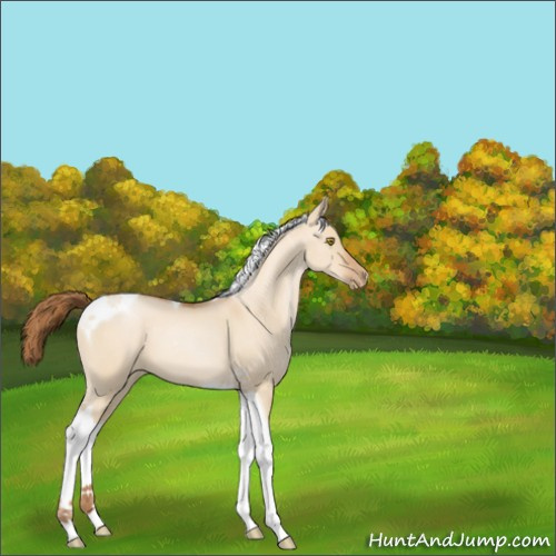 Horse Color:Bay Pearl Dun Tobiano 