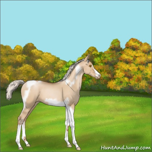 Horse Color:Silver Grullo Roan Pearl Tobiano Frame 