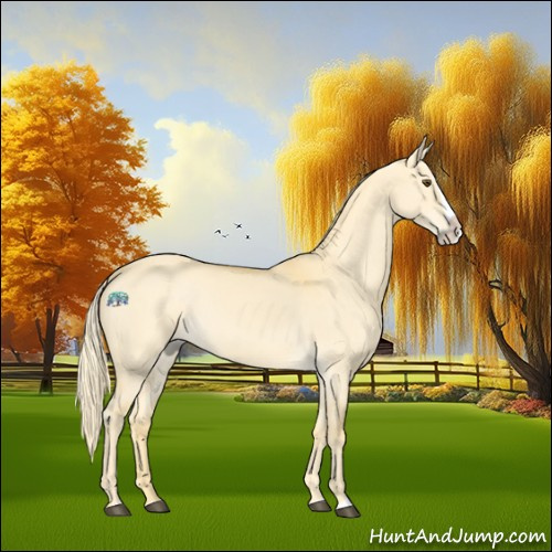 Horse Color:Palomino Dun Splash