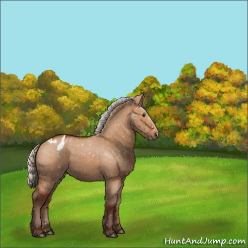 Horse Color:Silver Brown Dun Appaloosa 