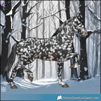 Horse Color:Brown Snowflake Varnish