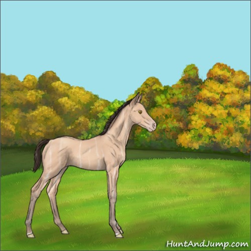 Horse Color:Amber Champagne Ice 