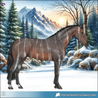 Horse Color:Bay Ice 