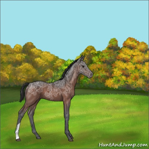 Horse Color:Brown Ice 