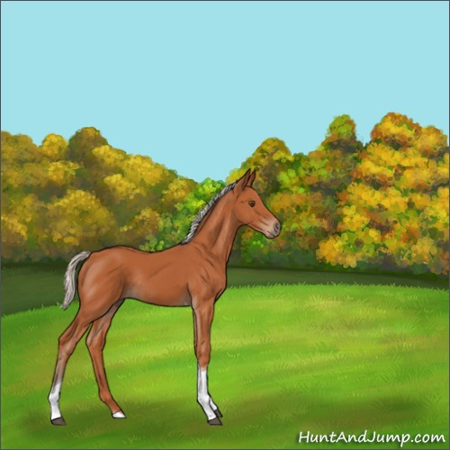 Horse Color:Silver Bay Tobiano Rabicano 