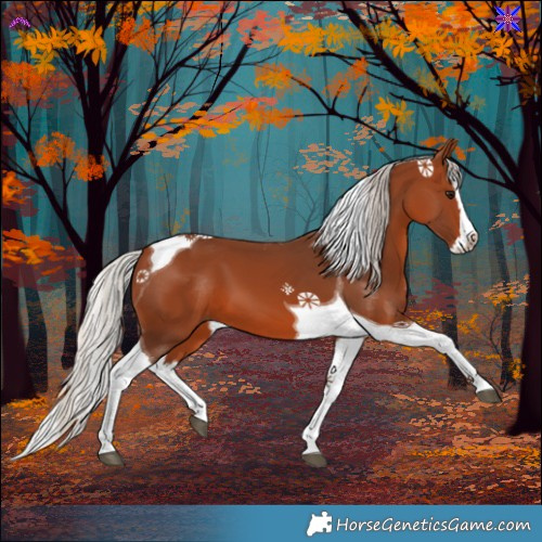 Horse Color:Silver Brown Splash Tobiano 