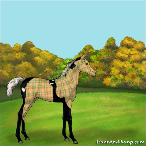Horse Color:Plaid  Silver Bay Tobiano 