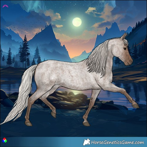 Horse Color:Silver Blue Roan