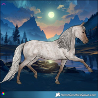 Horse Color:Silver Blue Roan 