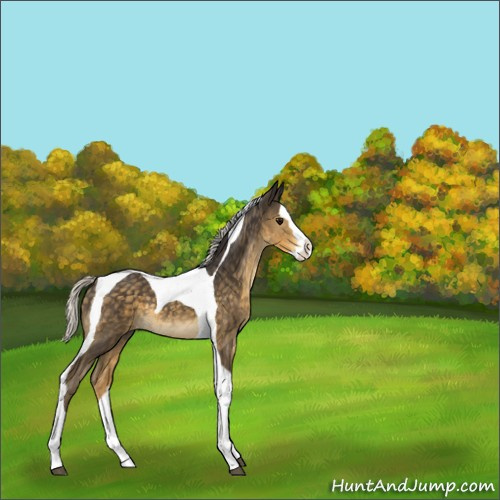 Horse Color:Silver Smoky Black Splash Tobiano 