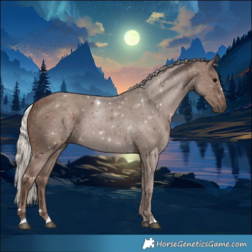 Horse Color:Silver Black 