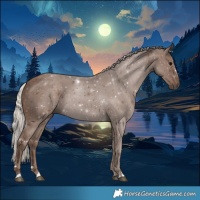 Horse Color:Silver Black 