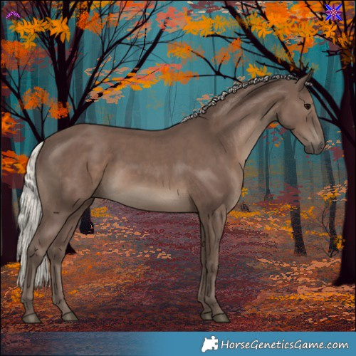 Horse Color:Silver Black 