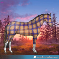 Horse Color:Plaid  Bay Tobiano 