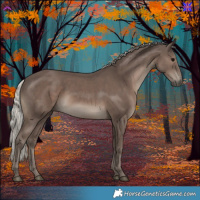 Horse Color:White Spotted Silver Black 