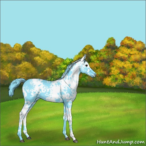 Horse Color:Watercolor White Spotted Black 