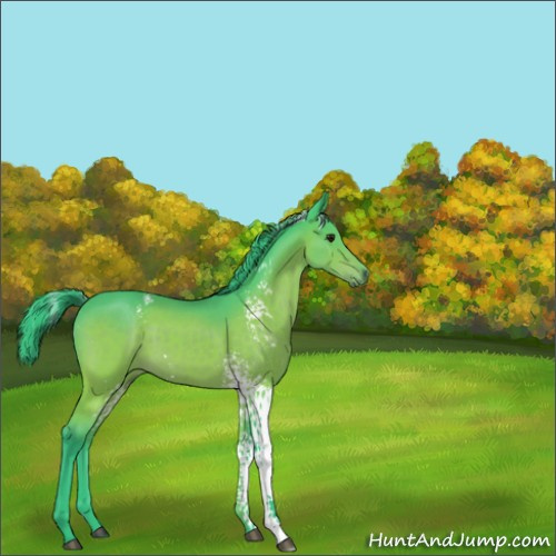 Horse Color:Watercolor White Spotted Brown 